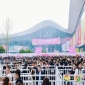 参展商必读：2026南京秋糖包装供应链范围界定与流程全解 